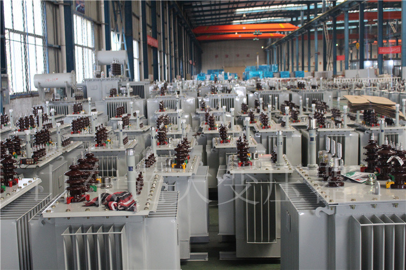 弋阳S22-800KVA/10KV